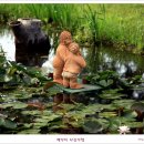 사랑의연못 이미지