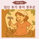 둥지세탁 | 네스팅, 둥지 짓기 증후군으로도 불리는 임산부 둥지 본능