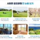 알파골프