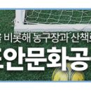 도안문화공원풋살장 이미지