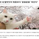 심쿵사