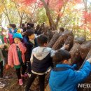 가학산자연휴양림 유아숲체험원 이미지
