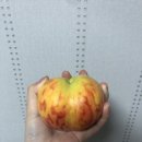 소사칙칙폭폭도서관 이미지