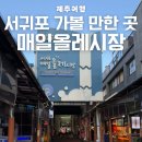올레 | 제주 서귀포 매일 올레시장 후기｜주차팁&amp;먹거리 추천 총정리