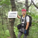 장룡산(장령산or장용산)656m 옥천 군서 금천리2009.07.04.토 이미지