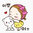 노다지 호프 이미지