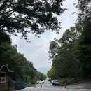 다인야영장 | 서울대공원 캠핑장 명당 123번 후기