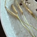 백년장수고려삼계탕 | 부산 기장 몸보신하기 좋은 현지맛집 들깨삼계탕 백년장수고려삼계탕