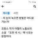 저 눈이 녹으면 흰빛은 어디로 가는가? 이미지