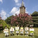 123노인복지센터 이미지