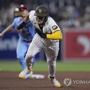 촉 이미지