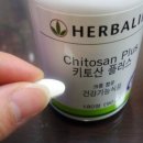 영양주는코치들 이미지