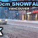 EXTREME SNOWSTORM Vancouver BC 2 이미지