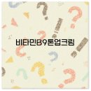 B9 티스토리