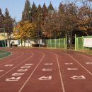 수지체육공원(배드민턴) 이미지