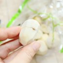 허니파파푸드