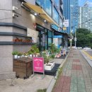 [일상] 생일기념 꽃다발_ 조이아플라워