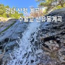 소로2-낭월26 | 경남 산청 계곡, 수월교 선유동계곡 상세 후기
