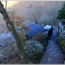 대운산자연휴양림 이미지