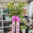 해성꽃농원 이미지