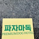 파자마독 이미지