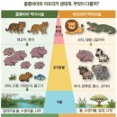 콜롬비아가 하마 80마리 안락사시키려는 까닭 이미지