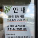 파크베어 | 세종 아이랑 갈만한곳 베어트리파크 다녀온 후기