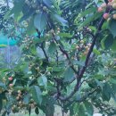 갑산농장 이미지