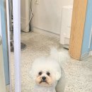 포즈티브 이미지