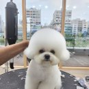 에브리 뽀송 이미지
