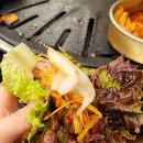 [쌍문동 뒷고기] 돼지 특수부위가 맛있는 광명역 고기집 솔직후기