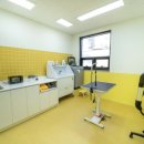 개와 사람(애견호텔) 이미지