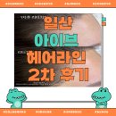 일산위시티 동물약국 | 일산 아이브에서 2차 헤어라인 리터치! 승무원Pick 내추럴 음영기법 후기