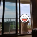 제주삼다수구로구 | [제주도 호텔 추천]제주 신라호텔 정원전망 상세 후기(내돈내고 다녀온 후기)