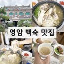 삼호고등학교 | 담백했던 영암 삼호 맛집 영암 백숙 맛집 파주옥 후기