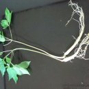 동환농장 이미지