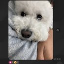 댕겨와유 | [ 천안 / 성정동 ] 💓 천안 댕겨와유 유치원 리얼 후기 💓