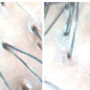 프라임메디컬의원 이미지