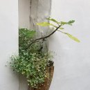 해브커피(HAVECOFFEE) 이미지