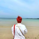 제주도 여행 네번째 날과 마지막 날의 기록, 5월 23일~24일 (feat. 우도 여행, 성산일출봉 etc)