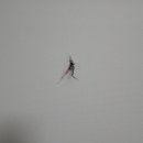 은천동-38 이미지