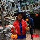 아쿠아데이 이미지