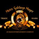 MGM 스포츠경향