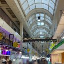 속초관광수산시장(지하) | 강원도 속초 여행 <속초관광수산시장> 먹거리 구매 후기 (아빠가잡아온붉은대게, 현태네튀김, 한일횟집...