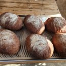 모리씨 빵가게 이미지