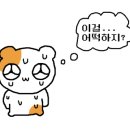 다숲스키샵 이미지