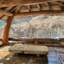 숲속의 돌담 이미지