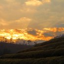 율포해수욕장 이미지