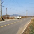 삼거리천곡고인돌 이미지