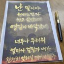 [감성손글씨] 글씨로 감성을 자극하는 수채 캘리그라피 | 짧고 좋은 글귀 AI로 출력한 캘리그라피 노래 가사 따라쓰기 쓰기 < 영감이 바닥났을때 >